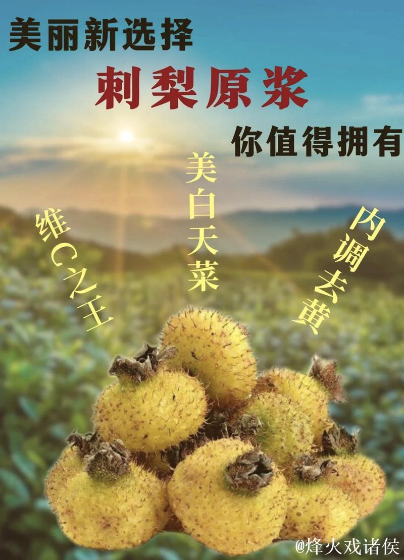 从刺梨故事看科技创新引领高质量发展 从刺梨故事看科技创新引领高质量发展